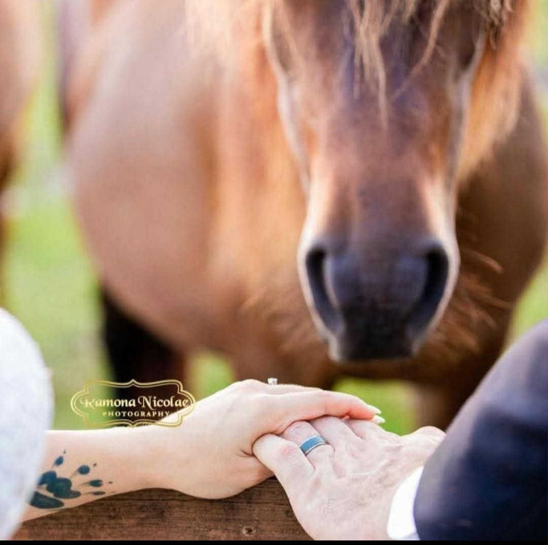 A horse watching over joined hands at Parker Farms